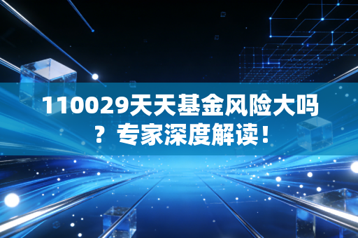110029天天基金风险大吗？专家深度解读！