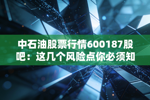 中石油股票行情600187股吧：这几个风险点你必须知道！