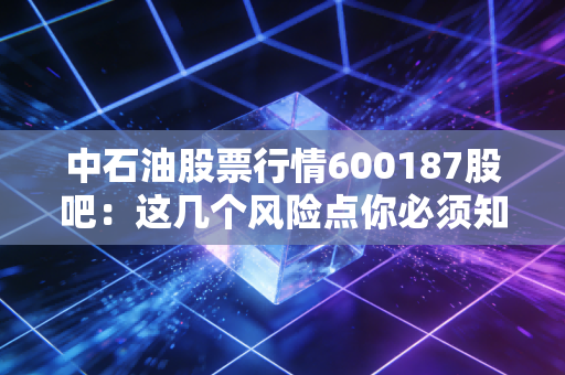 中石油股票行情600187股吧：这几个风险点你必须知道！