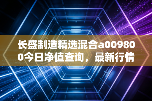 长盛制造精选混合a009800今日净值查询，最新行情一览！