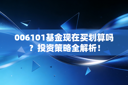 006101基金现在买划算吗？投资策略全解析！