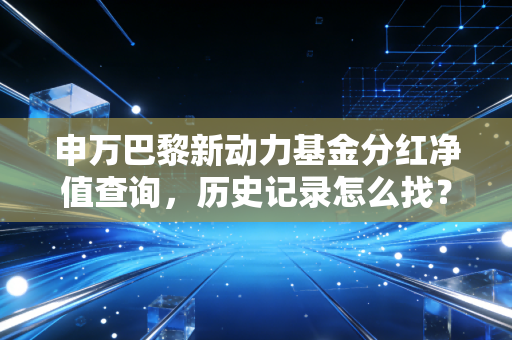 申万巴黎新动力基金分红净值查询，历史记录怎么找？