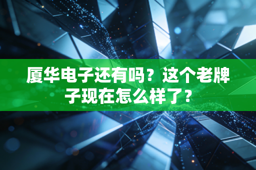 厦华电子还有吗？这个老牌子现在怎么样了？