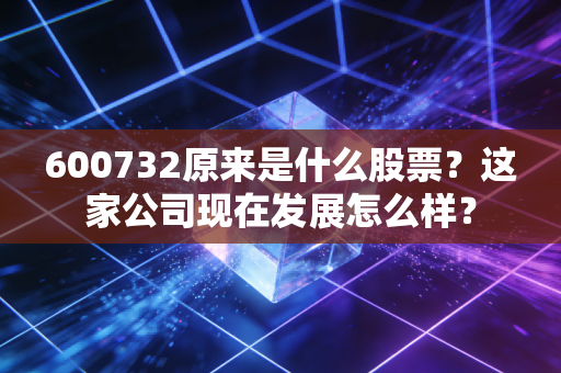 600732原来是什么股票？这家公司现在发展怎么样？