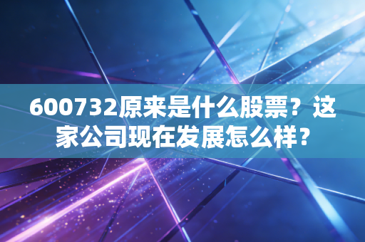 600732原来是什么股票？这家公司现在发展怎么样？