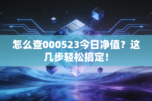 怎么查000523今日净值？这几步轻松搞定！