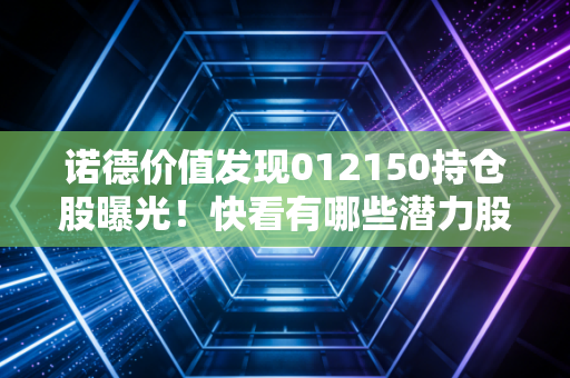 诺德价值发现012150持仓股曝光！快看有哪些潜力股
