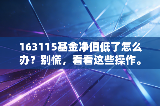 163115基金净值低了怎么办？别慌，看看这些操作。