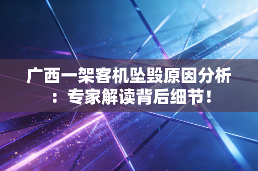 广西一架客机坠毁原因分析：专家解读背后细节！