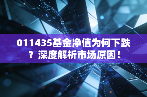 011435基金净值为何下跌？深度解析市场原因！