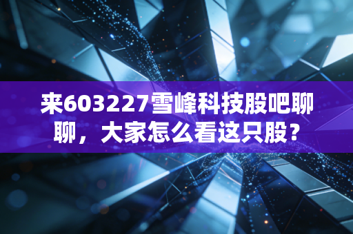 来603227雪峰科技股吧聊聊,大家怎么看这只股?