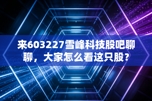来603227雪峰科技股吧聊聊,大家怎么看这只股?