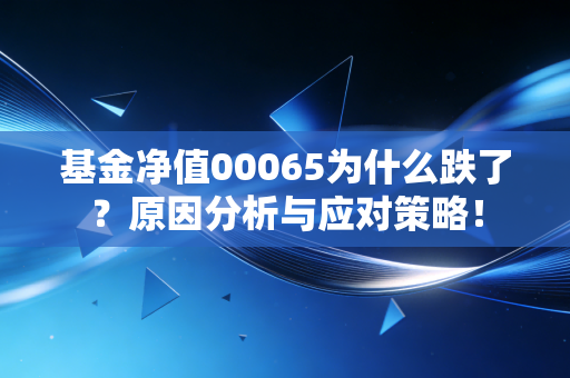基金净值00065为什么跌了？原因分析与应对策略！