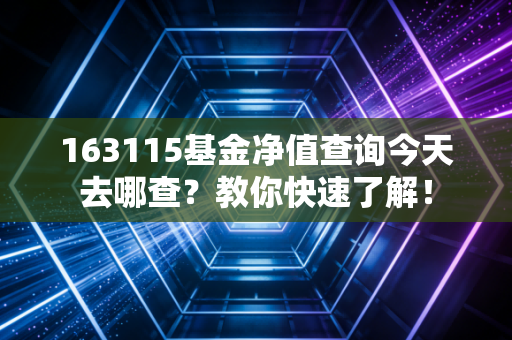 163115基金净值查询今天去哪查？教你快速了解！