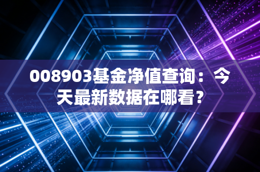 008903基金净值查询：今天最新数据在哪看？