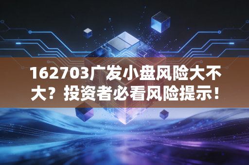 162703广发小盘风险大不大？投资者必看风险提示！