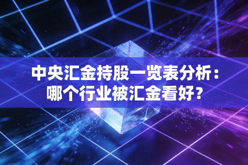 中央汇金持股一览表分析：哪个行业被汇金看好？