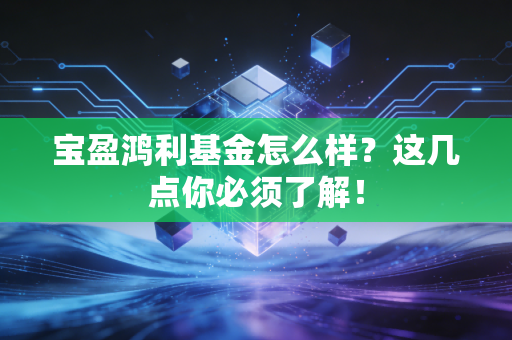 宝盈鸿利基金怎么样？这几点你必须了解！