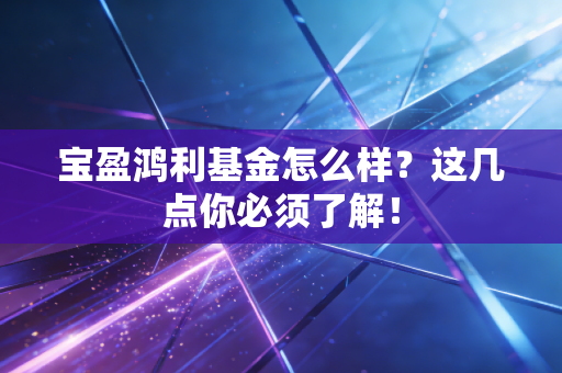 宝盈鸿利基金怎么样？这几点你必须了解！