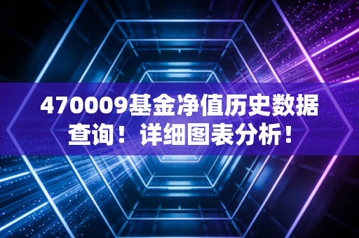 470009基金净值历史数据查询！详细图表分析！