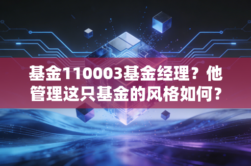 基金110003基金经理？他管理这只基金的风格如何？