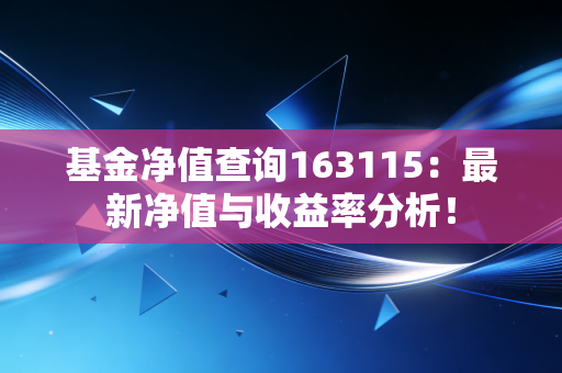 基金净值查询163115：最新净值与收益率分析！