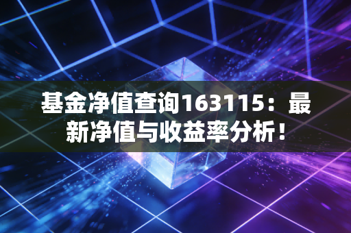 基金净值查询163115：最新净值与收益率分析！