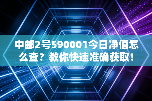 中邮2号590001今日净值怎么查？教你快速准确获取！