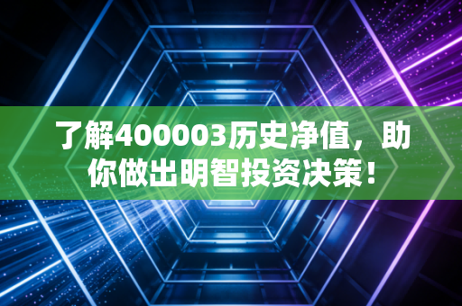 了解400003历史净值，助你做出明智投资决策！