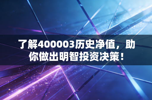 了解400003历史净值，助你做出明智投资决策！