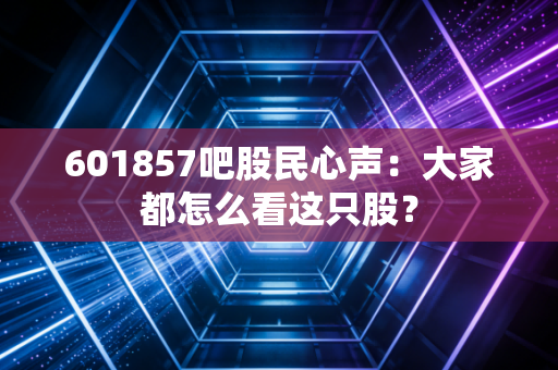 601857吧股民心声:大家都怎么看这只股?