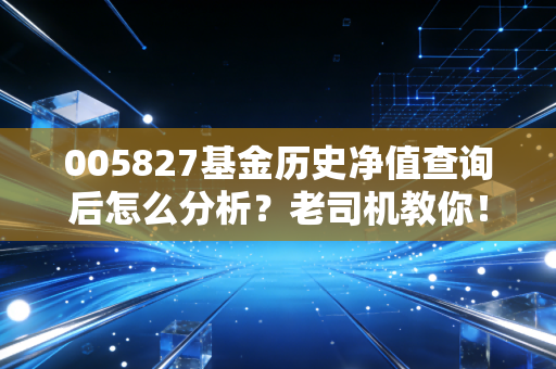 005827基金历史净值查询后怎么分析？老司机教你！