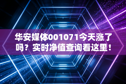 华安媒体001071今天涨了吗？实时净值查询看这里！
