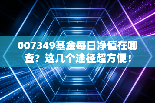 007349基金每日净值在哪查？这几个途径超方便！