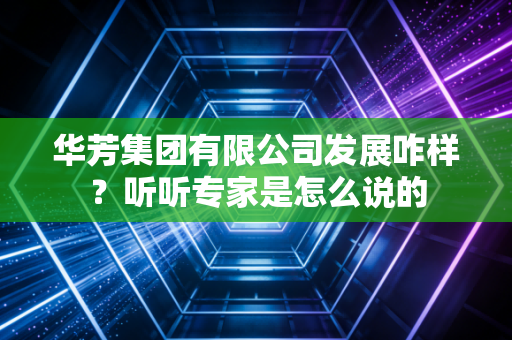华芳集团有限公司发展咋样？听听专家是怎么说的