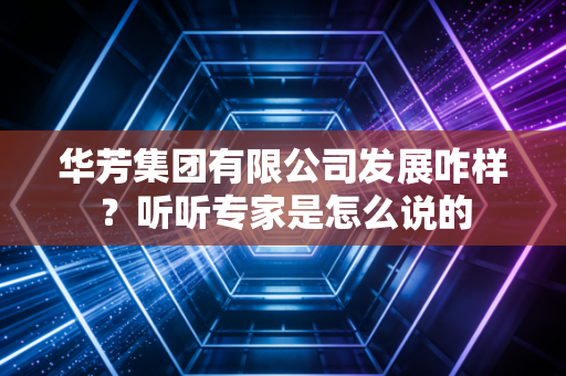 华芳集团有限公司发展咋样？听听专家是怎么说的