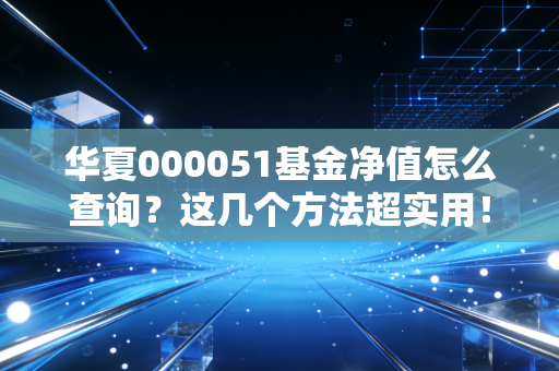 华夏000051基金净值怎么查询？这几个方法超实用！