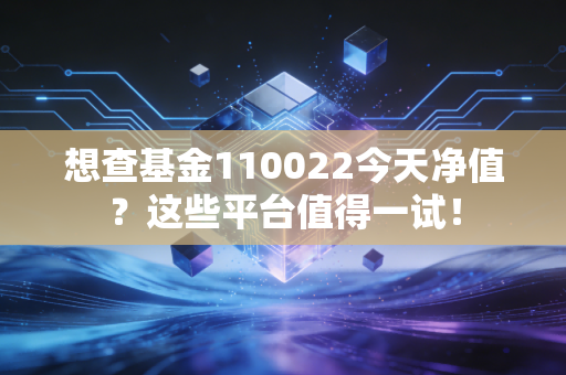 想查基金110022今天净值？这些平台值得一试！