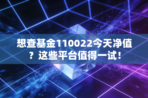 想查基金110022今天净值？这些平台值得一试！