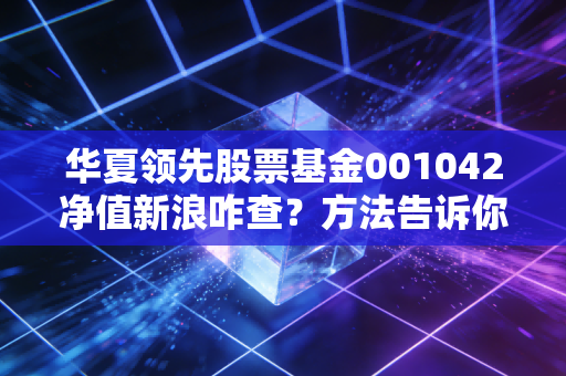 华夏领先股票基金001042净值新浪咋查？方法告诉你！