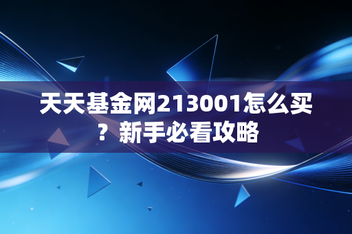 天天基金网213001怎么买？新手必看攻略