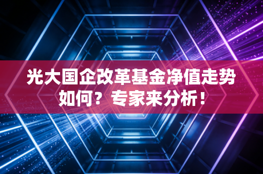 光大国企改革基金净值走势如何？专家来分析！