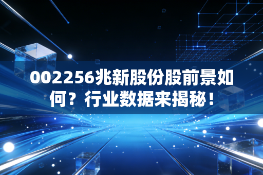 002256兆新股份股前景如何？行业数据来揭秘！