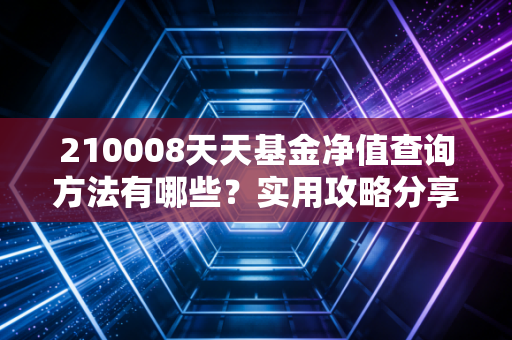 210008天天基金净值查询方法有哪些？实用攻略分享