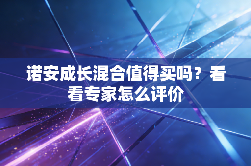 诺安成长混合值得买吗？看看专家怎么评价