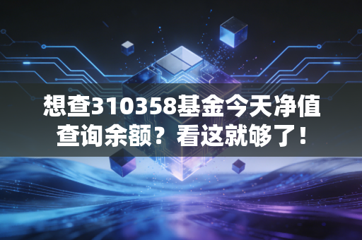 想查310358基金今天净值查询余额？看这就够了！