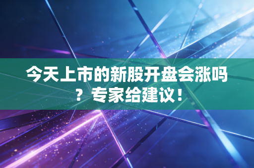 今天上市的新股开盘会涨吗？专家给建议！