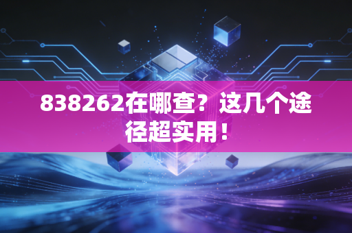838262在哪查？这几个途径超实用！