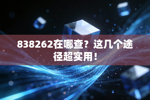 838262在哪查？这几个途径超实用！