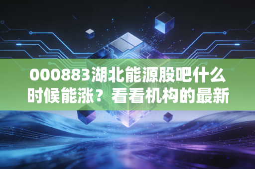 000883湖北能源股吧什么时候能涨？看看机构的最新持仓情况和看法！
